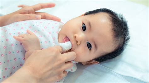 Jadi ketika bayi mau membersihkan gigi dan gusi setelah lidah maka ganti kain pembersihnya. Cegah Infeksi, Begini Cara Aman Membersihkan Lidah Bayi ...
