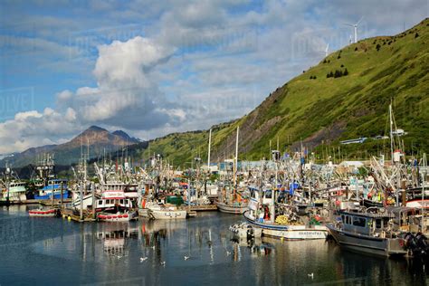 Scenic View Of St Paul Harbor Kodiak Island Southcentral Alaska Usa