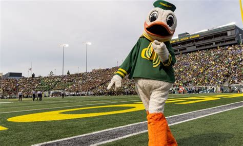 Oregon Football The Duck Still Ranked Prominently Among Top Mascots