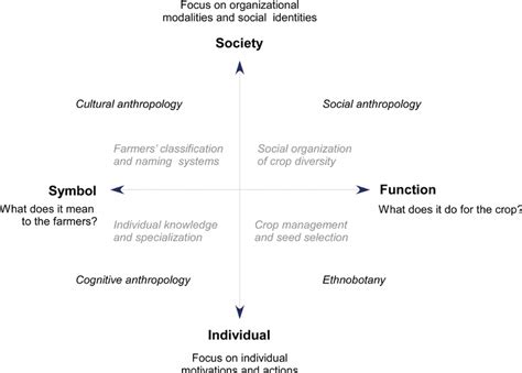 Diagrammatic Representation Of The Main Fields Of Anthropology That