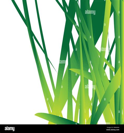 Grass Field Over View Stock Vector Images Alamy