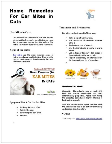 How To Kill Ear Mites In Cats At Home Catwalls