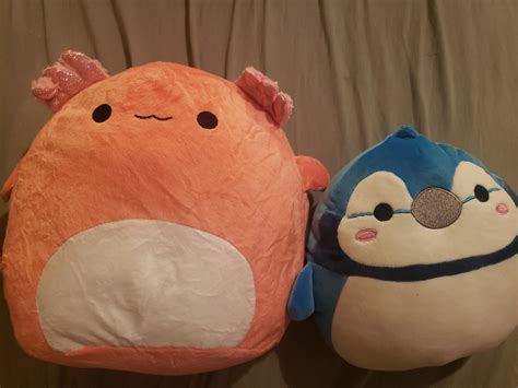 My Fake Squish Came In From Squishmallowsus I Didnt Know They Were A Scam Site When I Made The