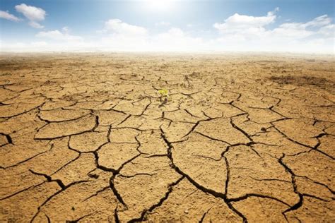Us To Face Worst Droughts In 1000 Years Says New Study