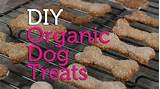 Diy Dog Food Recipe Pictures