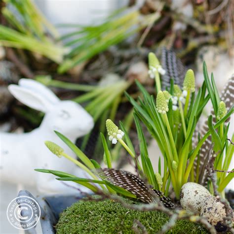 Nun einen gartenschlauch um den kasten wickeln, dann das schlauchende über dem kasten aufhängen. Frühlingsdeko im Garten und ein Osterhase springt auch ...