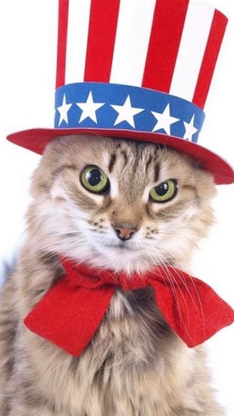 There are 39 animal hospitals in charlotte, north carolina, serving a population of 826,060 people in an area of 306 square miles. Compassionate Care Veterinary Hospital of Charlotte - Home ...