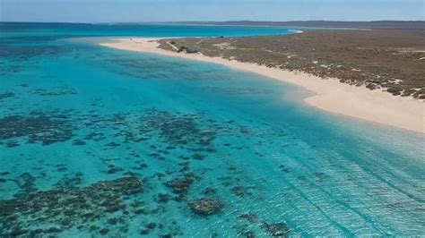 South Lefroy Bay Campground Dog Friendly Ningaloo Reef Camping