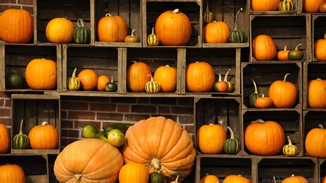 Fall Pumpkin Wallpaper For Desktop 57 Images