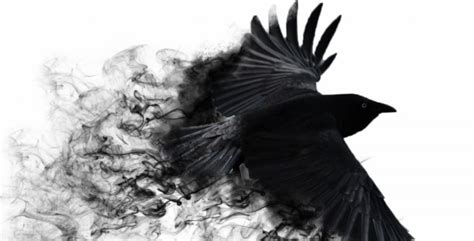 itachi crow sharingan  raven hd   hd