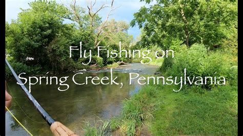 Summer Fly Fishing On Spring Creek Pennsylvania Fishermans Paradise