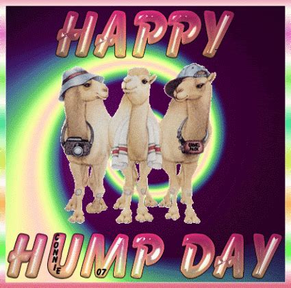 Animated Happy Hump Day Hump Day Memes To Help You Laugh Thru My Xxx