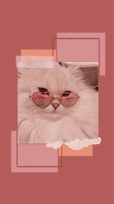 10 Outstanding Pink Aesthetic Wallpaper Cat You Can Download It For