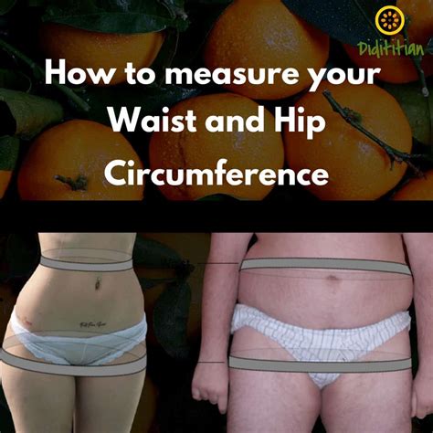 Measuring Your Waist And Hip Circumference Didititian