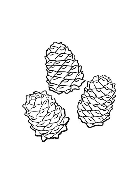 Pine Cone Coloring Pages Printable Sketch Coloring Page