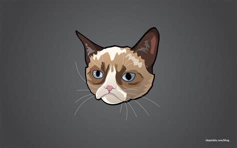 Cat Meme Wallpapers Top Free Cat Meme Backgrounds Wallpaperaccess
