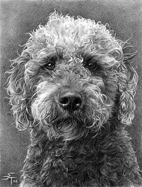 50 Easy Pencil Drawings Of Animals That Look So Realistic