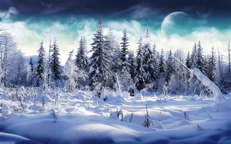 Winter Moon Trees Snow Mountain Nature Wallpapers Hd Desktop And