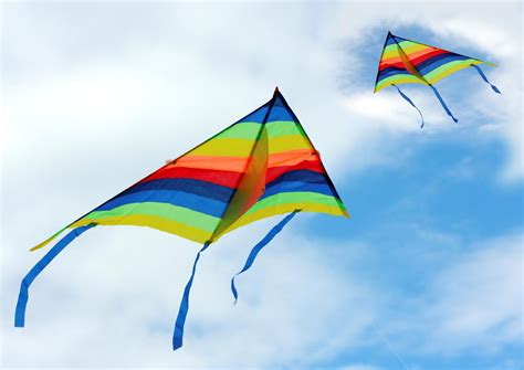 Kite Flying Kite Making And Flying Festival Of The Senses 2014