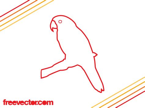 Parrot Outlines Vector Vector Art And Graphics