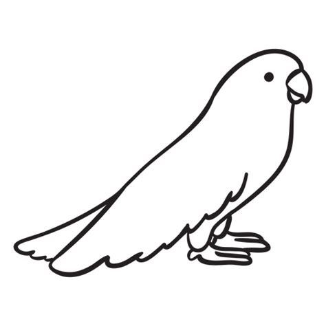 Cute Parrot Standing Profile Outline Png And Svg Design For T Shirts