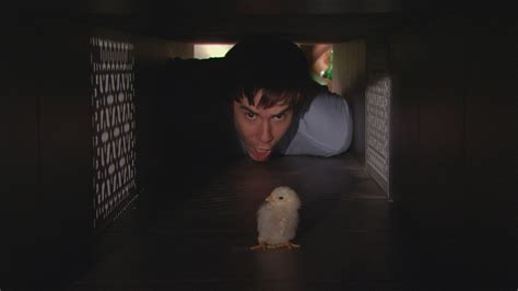 Watch Icarly 2007 Season 1 Episode 16 Icarly Ihatch Chicks Full