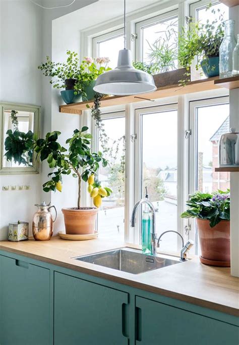 10 Beautiful Ways To Decorate Your Kitchen With Plants Homemydesign