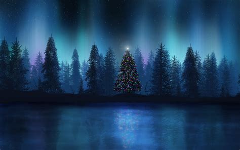 Christmas Hd Wallpaper Background Image 1920x1200