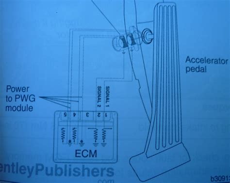 Diagram Bmw E46 Accelerator Pedal Wiring Diagram Mydiagramonline
