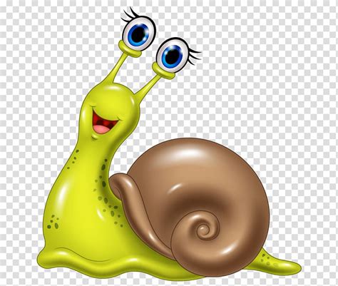 Green And Brown Snail Illustration Snail Cartoon Hand Painted