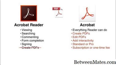 Adobe Reader Y Adobe Acrobat Software 2024