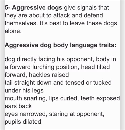 How To Read Your Dogs Body Language 👍🐶👍🐶👍🐶👍 Musely