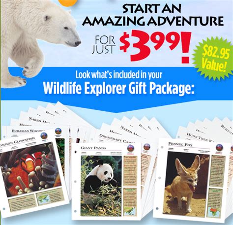 36 Wildlife Explorer Animal Cards Binoculars Compass Flashlight And