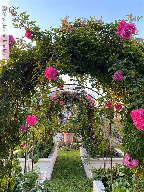 Free woodworking plans for a delightful retreat for the look of combining them. Rose Trellis: Jardin Rose Arch | Gardener's Supply