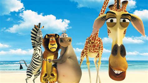 Funny Cartoon Animals With Beach And Sky Background Hd