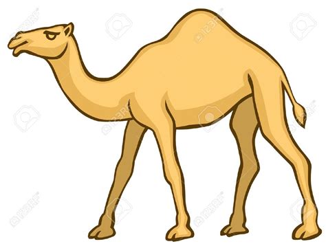 Cartoon Image Of A Camel