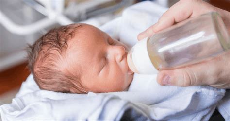 Newborn And Infant Bottle Feeding Formula Fed Babies Buddha Belly