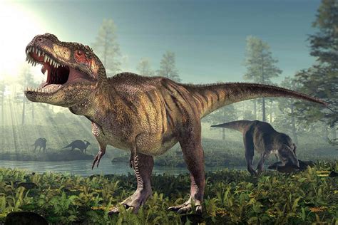 Around 25 Billion Tyrannosaurus Rex Ever Walked The Earth