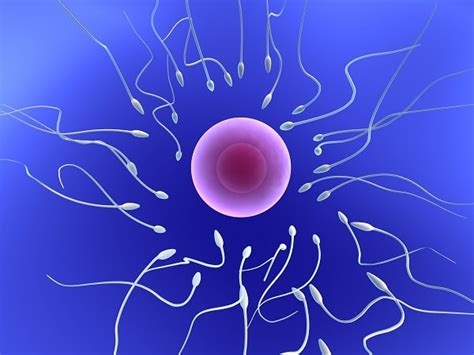 Male Infertility Can The New Technique Resolve It Without Ethical
