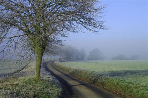 Morning Mists Mists Country Roads Photography