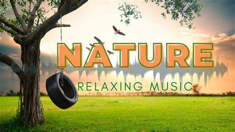 Relaxing Music With Beautiful Nature Relaxing Meditation And Sleeping Music Youtube