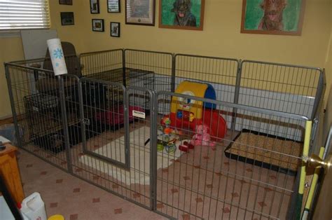Most dogs love going for rides, but the fur and the claws and the slobber can do a number on your interior. Awesome indoor puppy area | Dog Kennel and Yard Ideas | Pinterest | Large tray, Awesome and Play pen