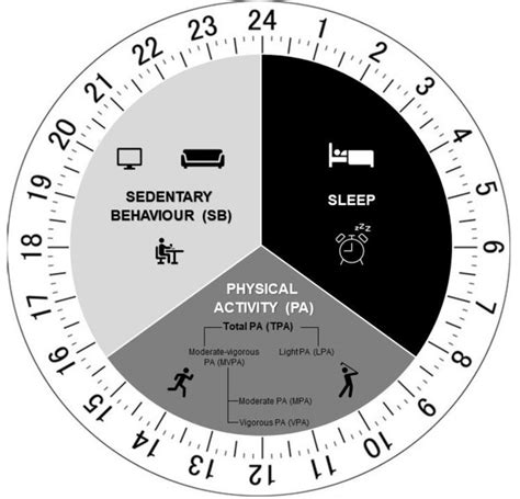 Time Use Varies Across The 24 Hour Day Download Scientific Diagram