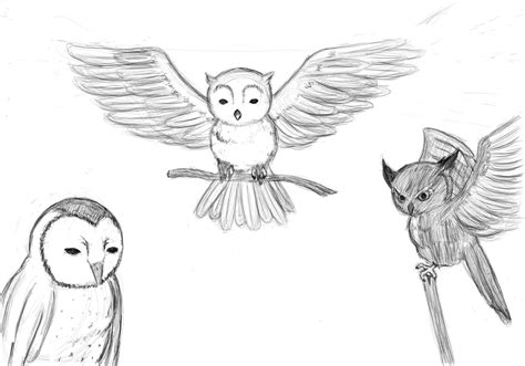 The Artwork Of Versace Owl Sketches