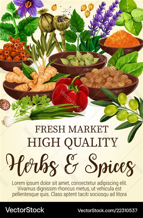 Herbs And Spices In Bowls Poster For Fresh Market Vector Image