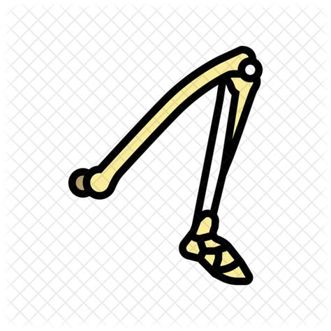 Leg Bone Icon Download In Colored Outline Style