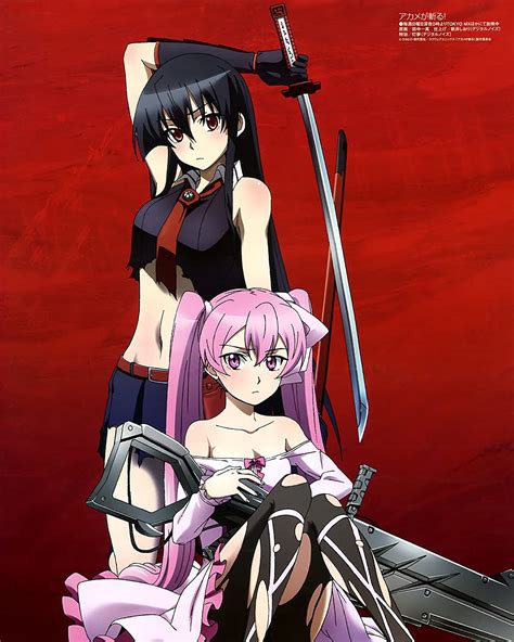 Akame Ga Kill Poster Anime Japanese Hot Girl Katana 16x20