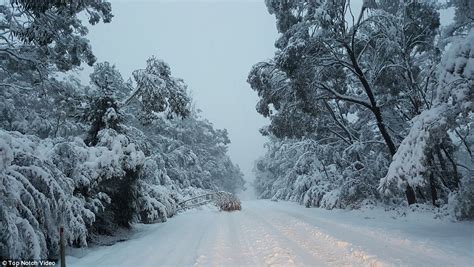 Australia Wakes To Snow In New South Wales Queensland And Victoria