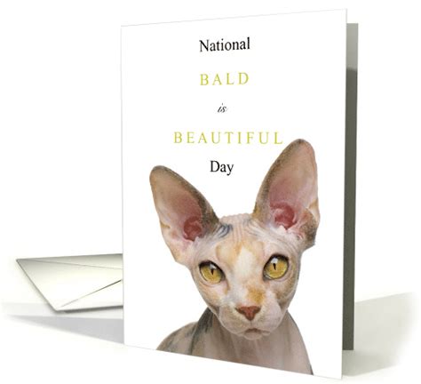 National Bald Is Beautiful Day September 13 With Hairless Cat Card