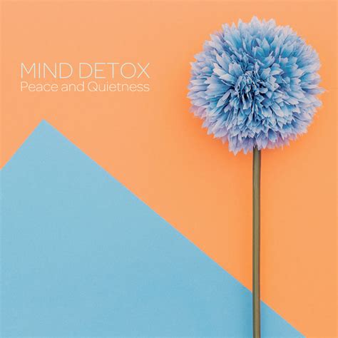 Mind Detox Peace And Quietness Album By Nature Sounds Paradise Spotify